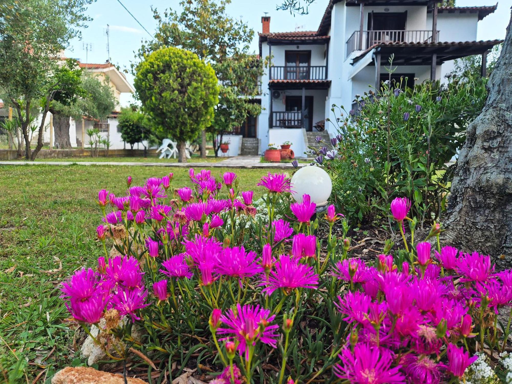 GeoVilla Green&Blue - Pefkochori Buitenkant foto